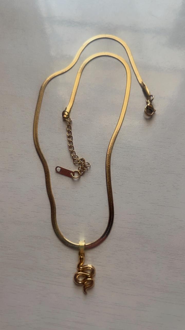 Serpent Charm Necklace